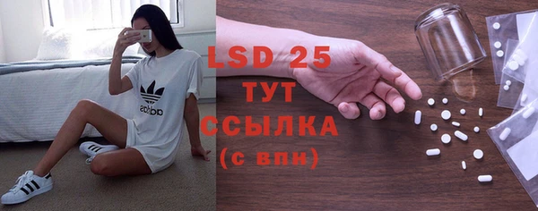 ГАЛЛЮЦИНОГЕННЫЕ ГРИБЫ Абаза