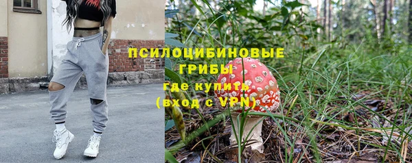 гашик Сафоново