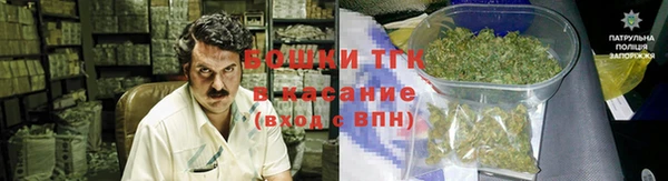 ГАЛЛЮЦИНОГЕННЫЕ ГРИБЫ Абаза