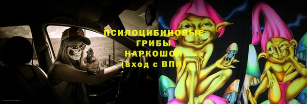 ГАЛЛЮЦИНОГЕННЫЕ ГРИБЫ Абаза