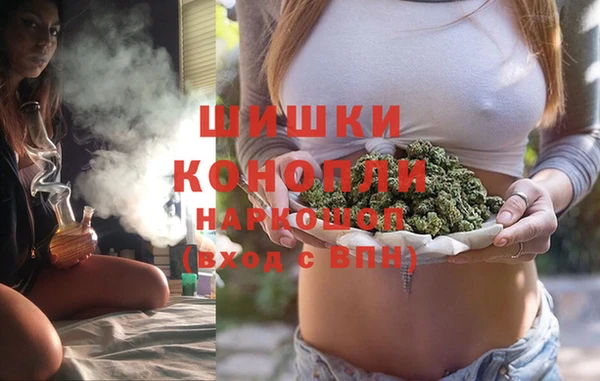ГАЛЛЮЦИНОГЕННЫЕ ГРИБЫ Абаза