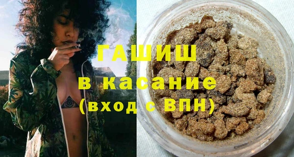 хмурый Алексин