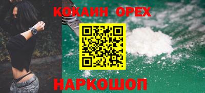 тгк Бийск