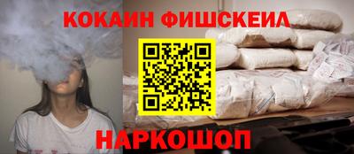 тгк Бийск