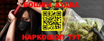 тгк Бийск