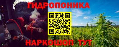тгк Бийск