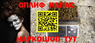 тгк Бийск