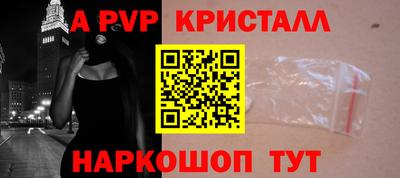 тгк Бийск