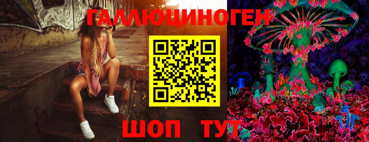 Галлюциногенные грибы Psilocybine cubensis  наркошоп  Вход с VPN  Воткинск  Псилоцибиновые грибы Psilocybe 